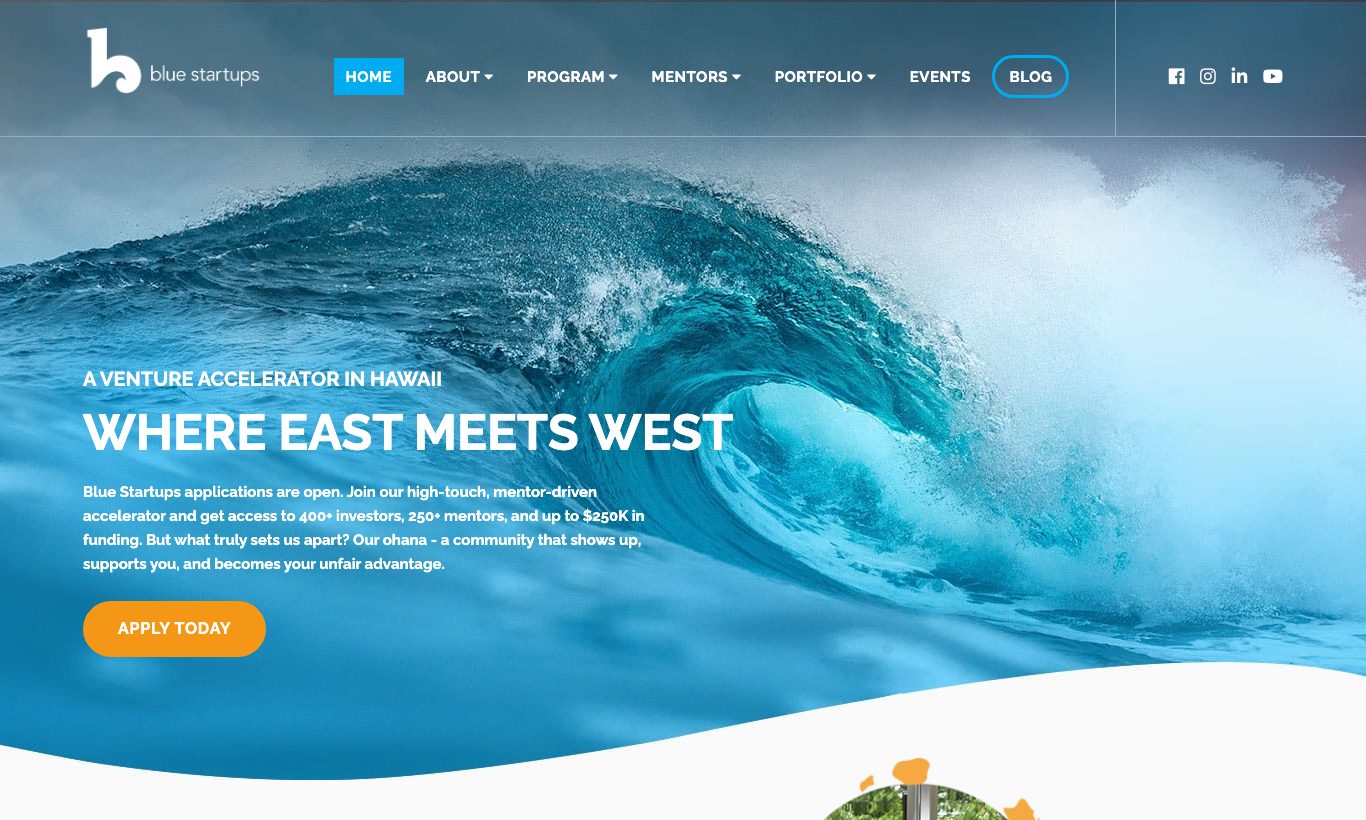 Blue Startups homepage