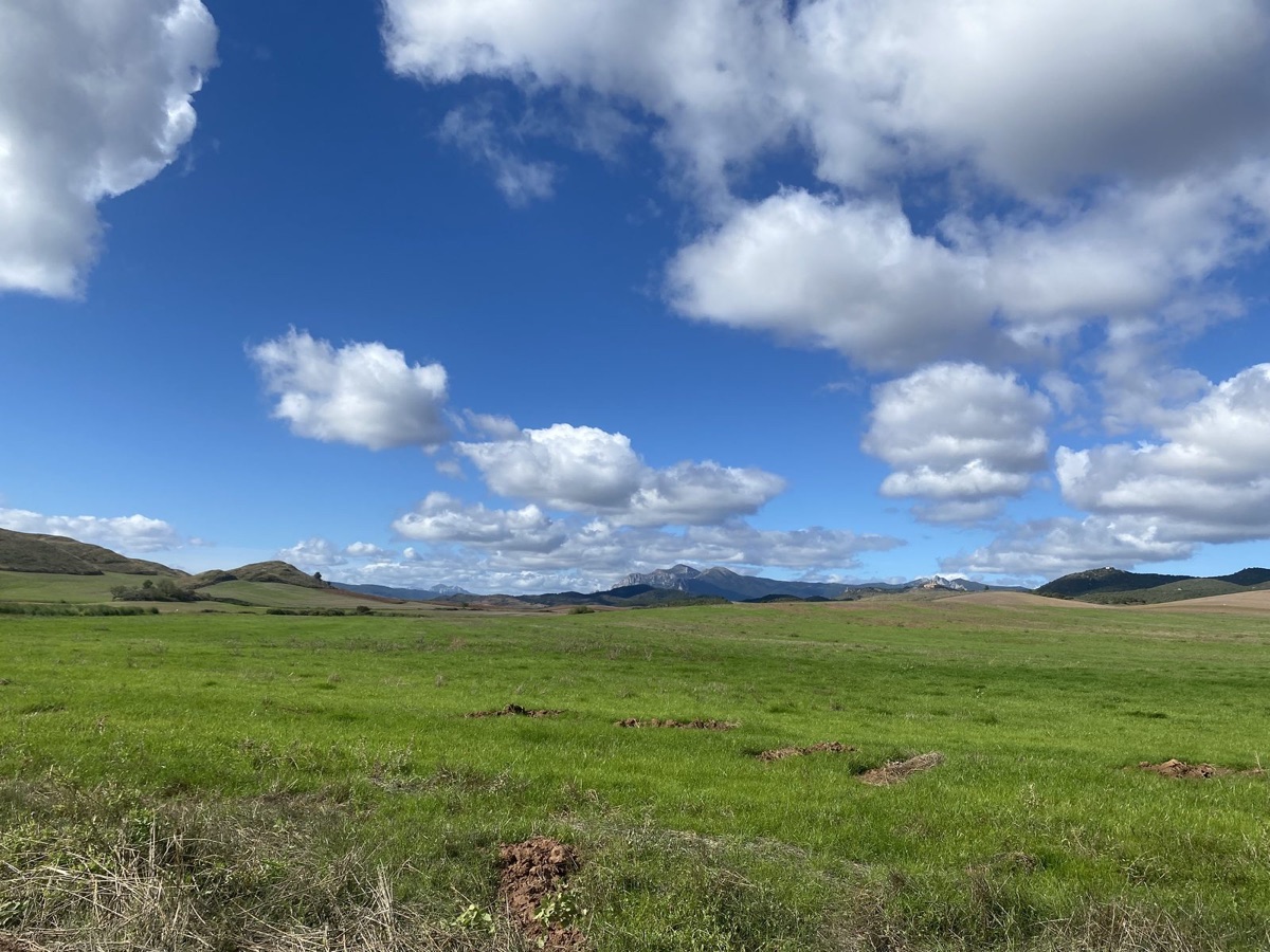 Rolling vineyards under a big sky in La Rioja wine country