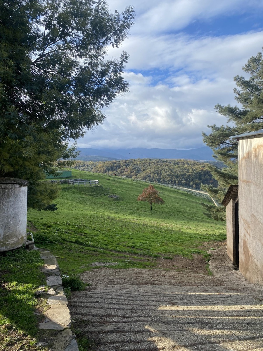 Coming down into the Bierzo valley