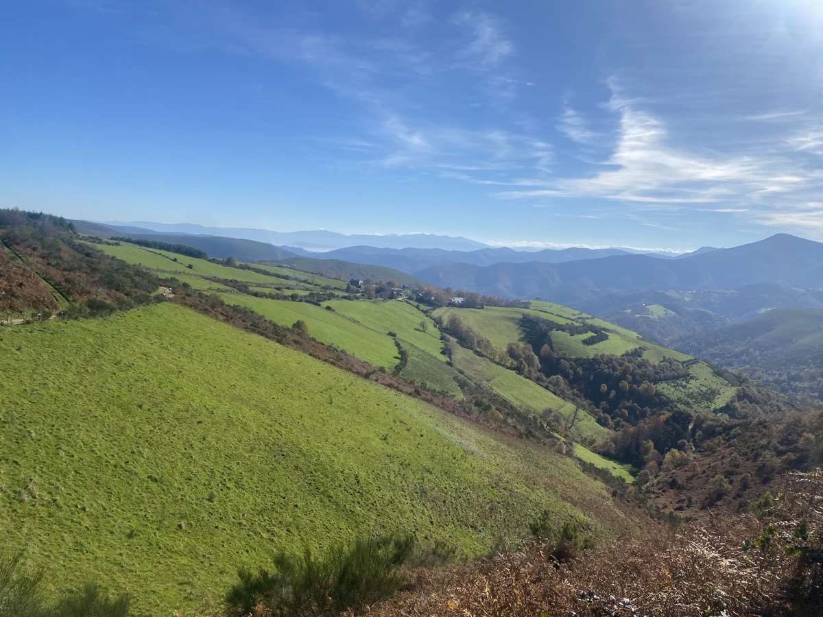 Layered green hills under a soft sky